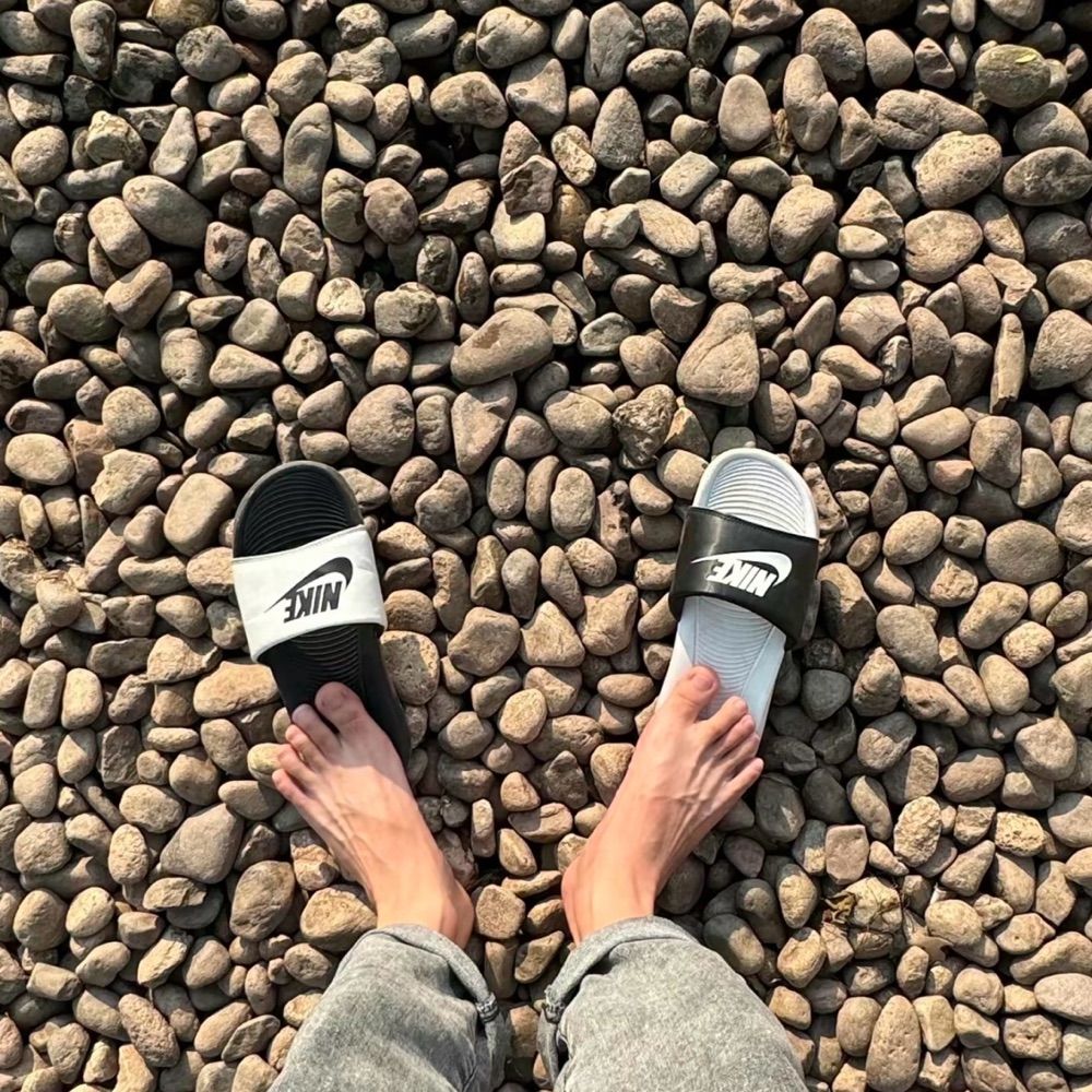 一只捣蛋狗