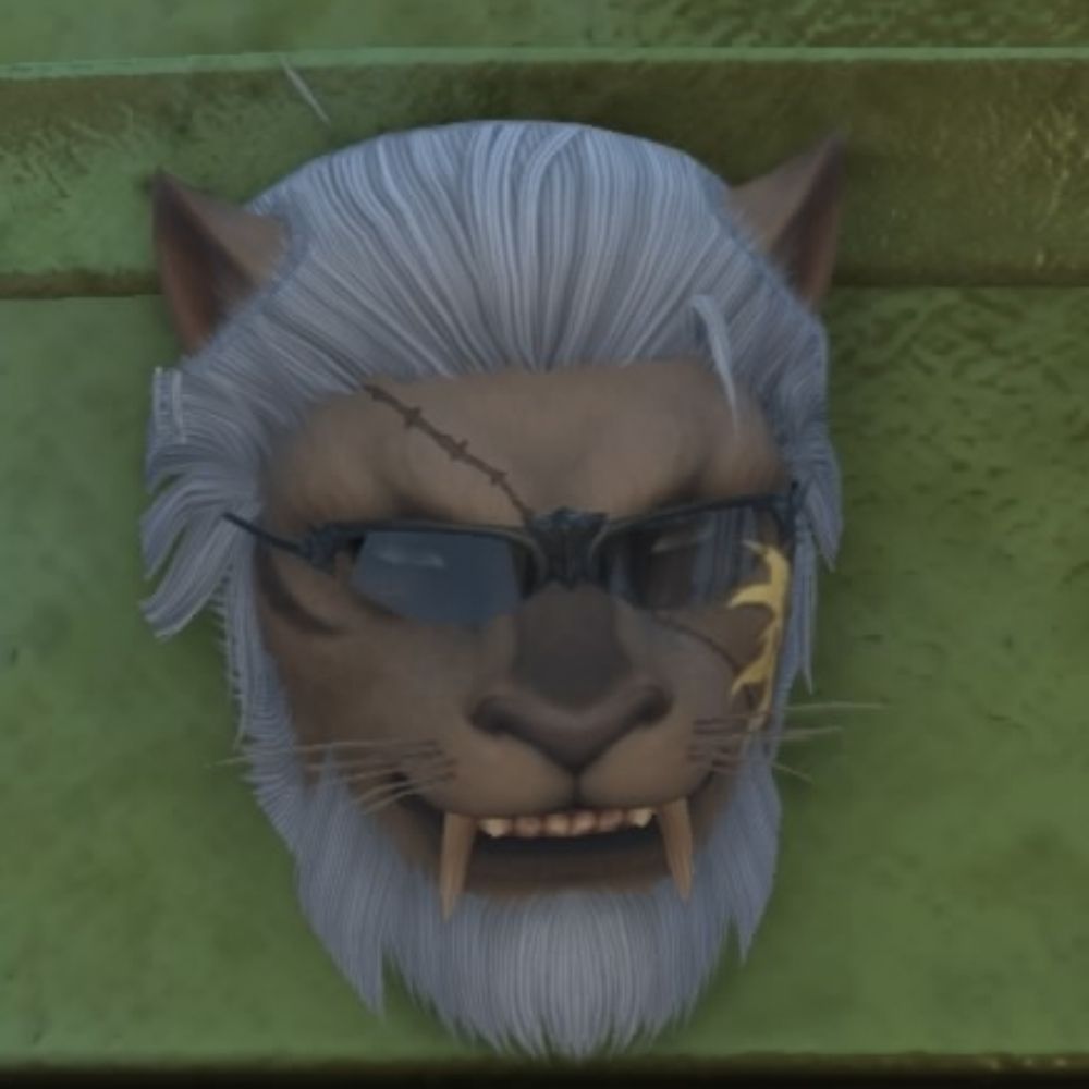 月猫