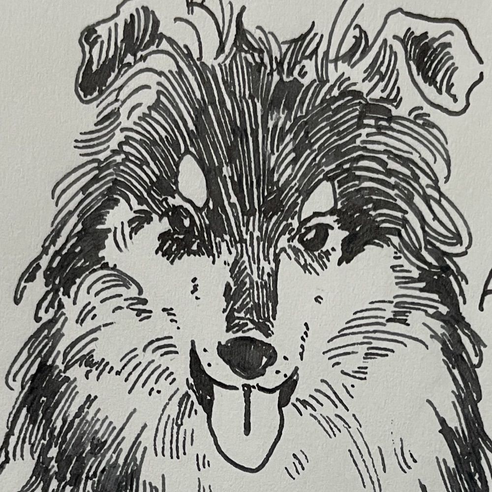 犬子