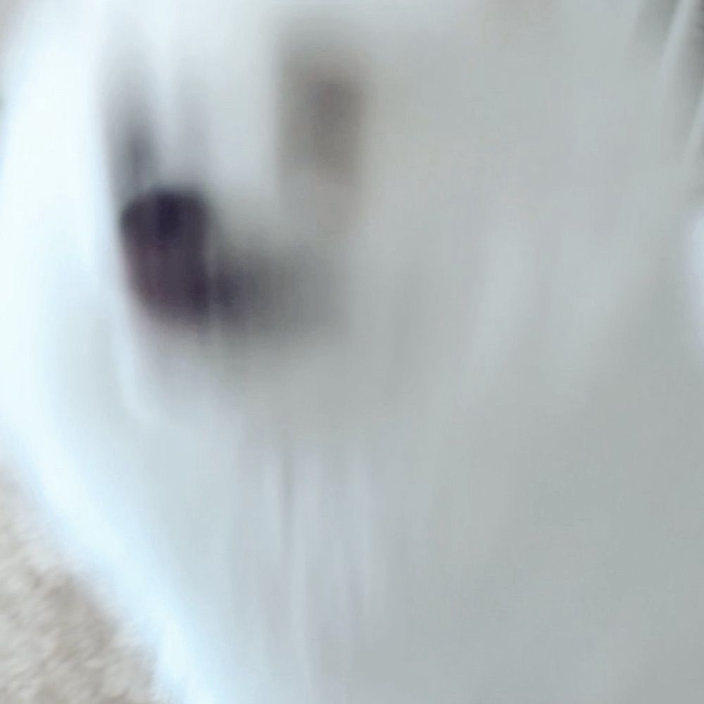 空