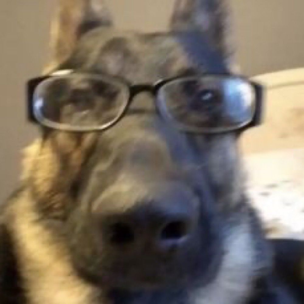 Bel