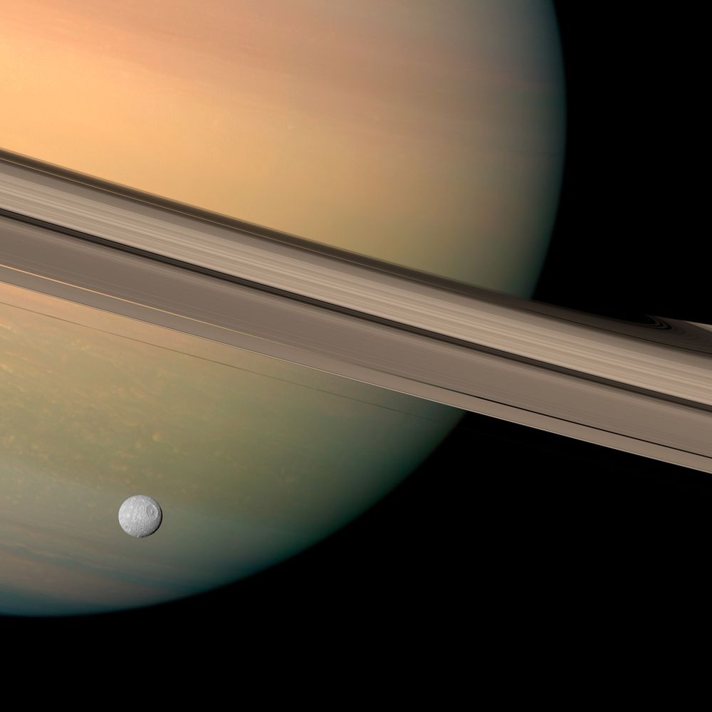 In Saturn's Rings