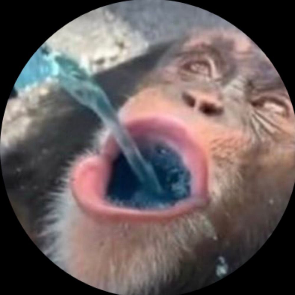 Chimp Moment