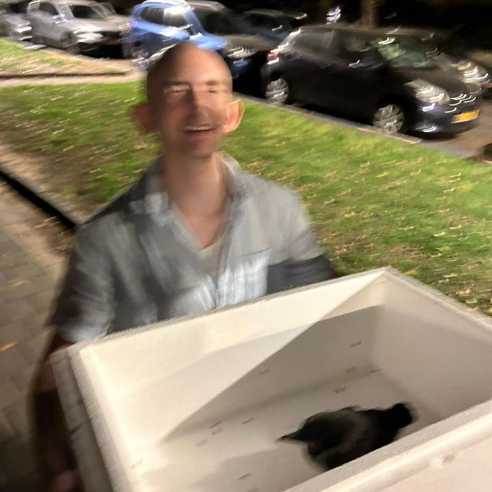 שוב נמרוד שיפוד