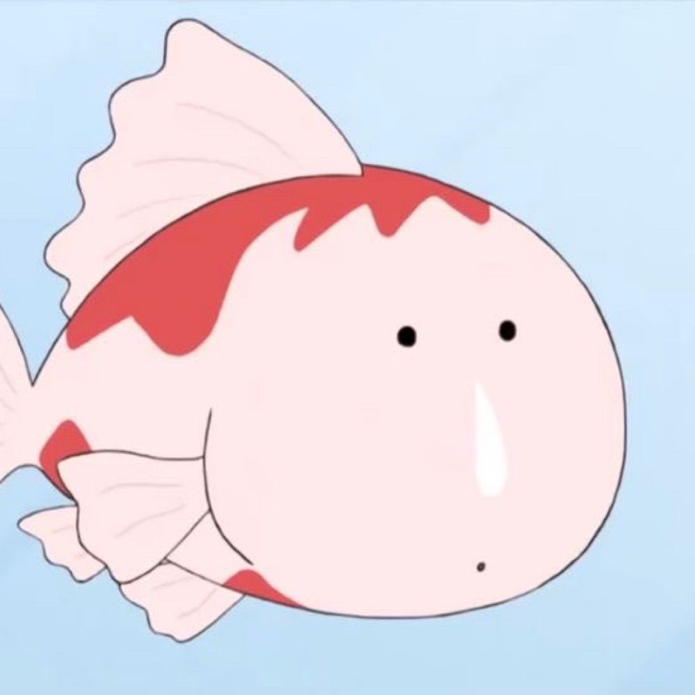 욜