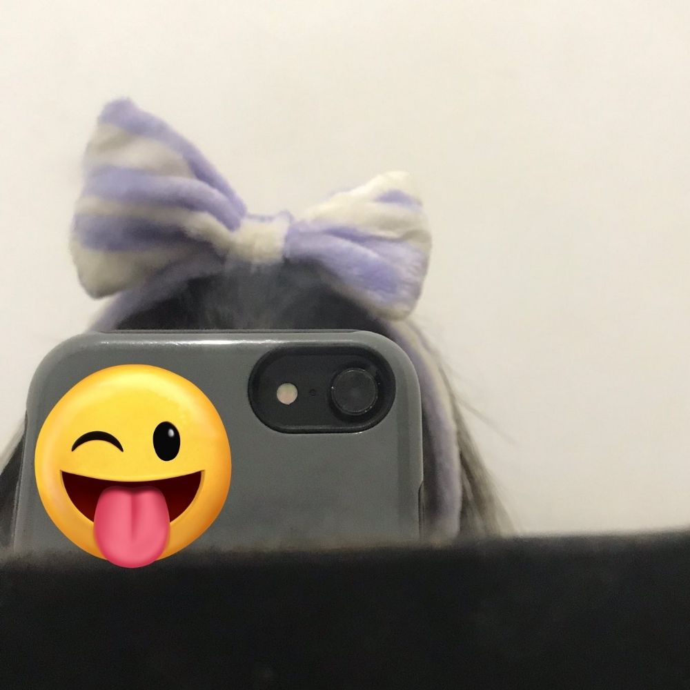 9kelly(켈렌 )🕺🏽🐱🐰🐶🦦🐷🦊⛰️🐥🦅🐈🐧🐕🌝