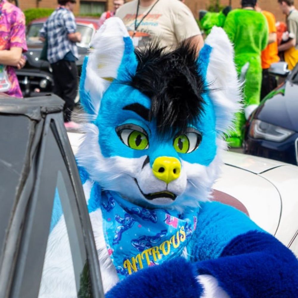 Nitrous Fox