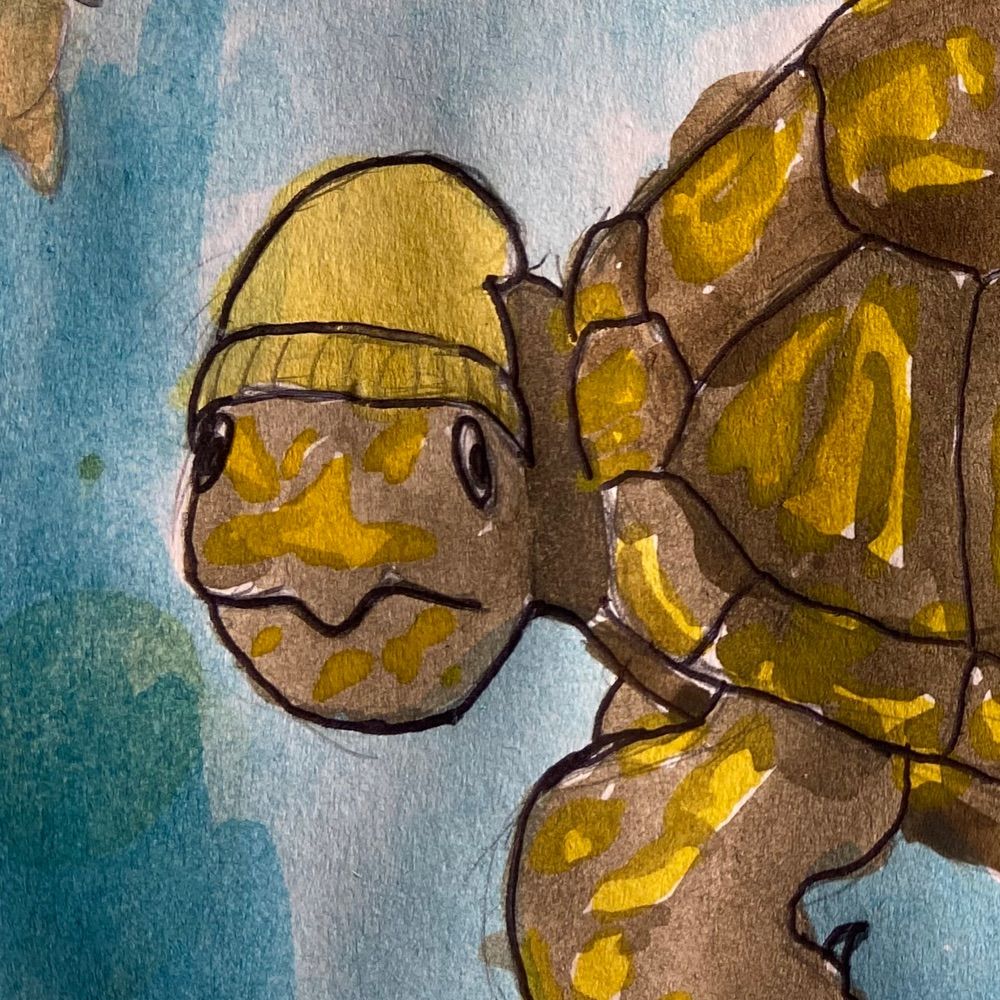 turtle