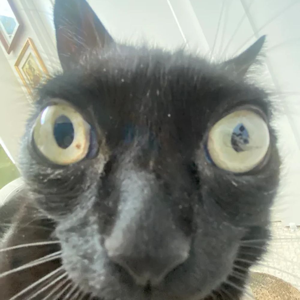 Sacha