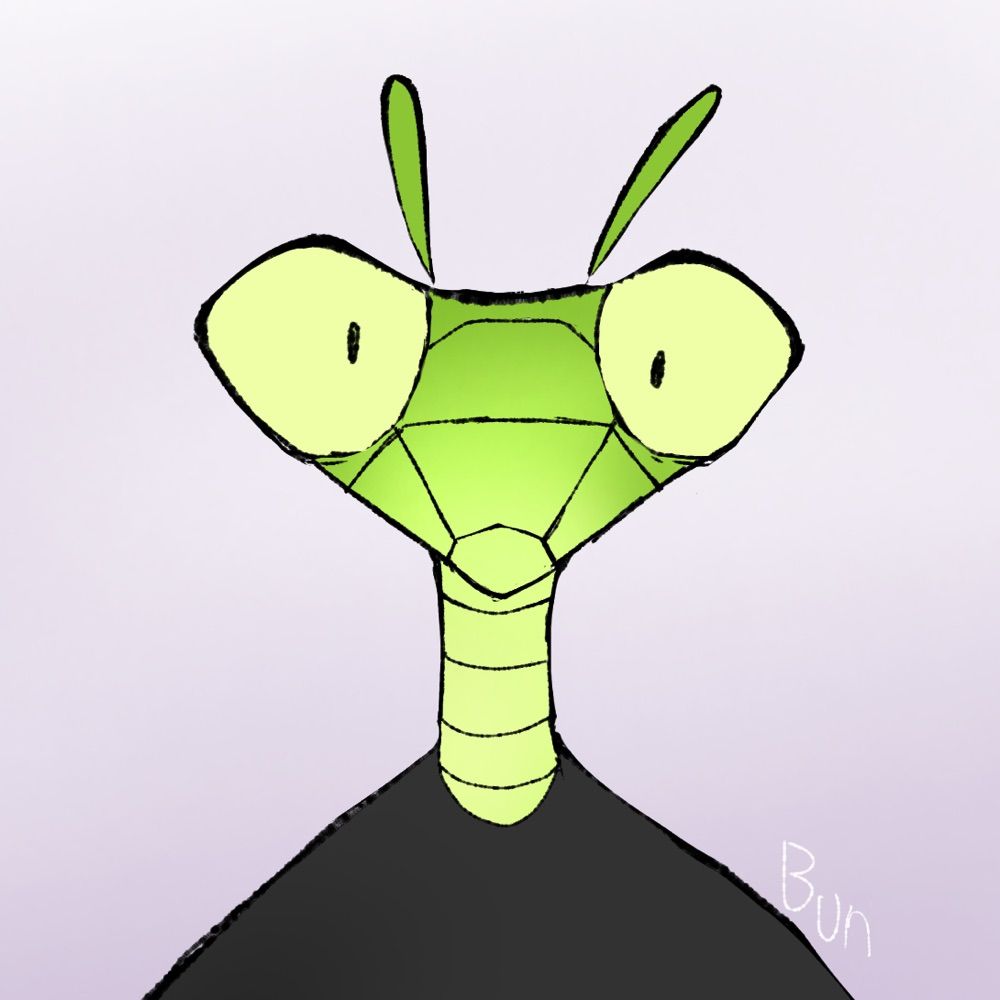 Bug