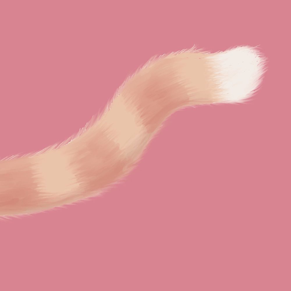リト