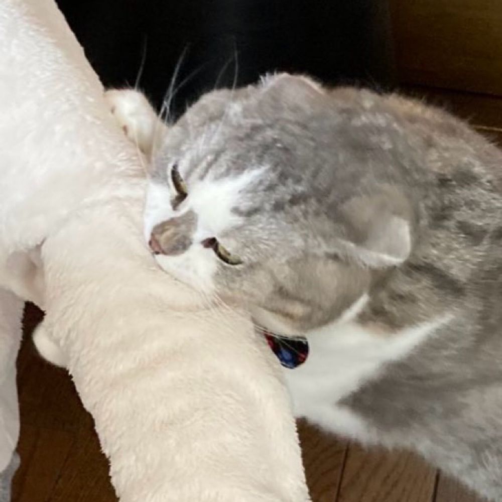 も中