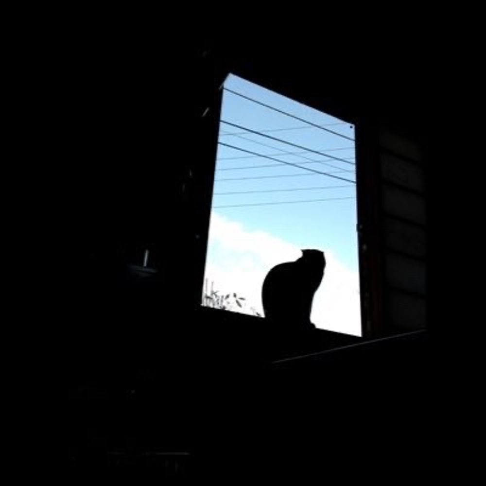 なちだ