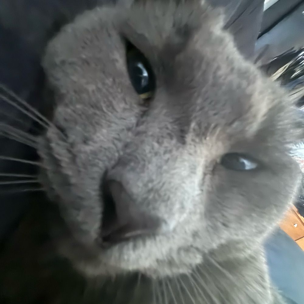 G0JI