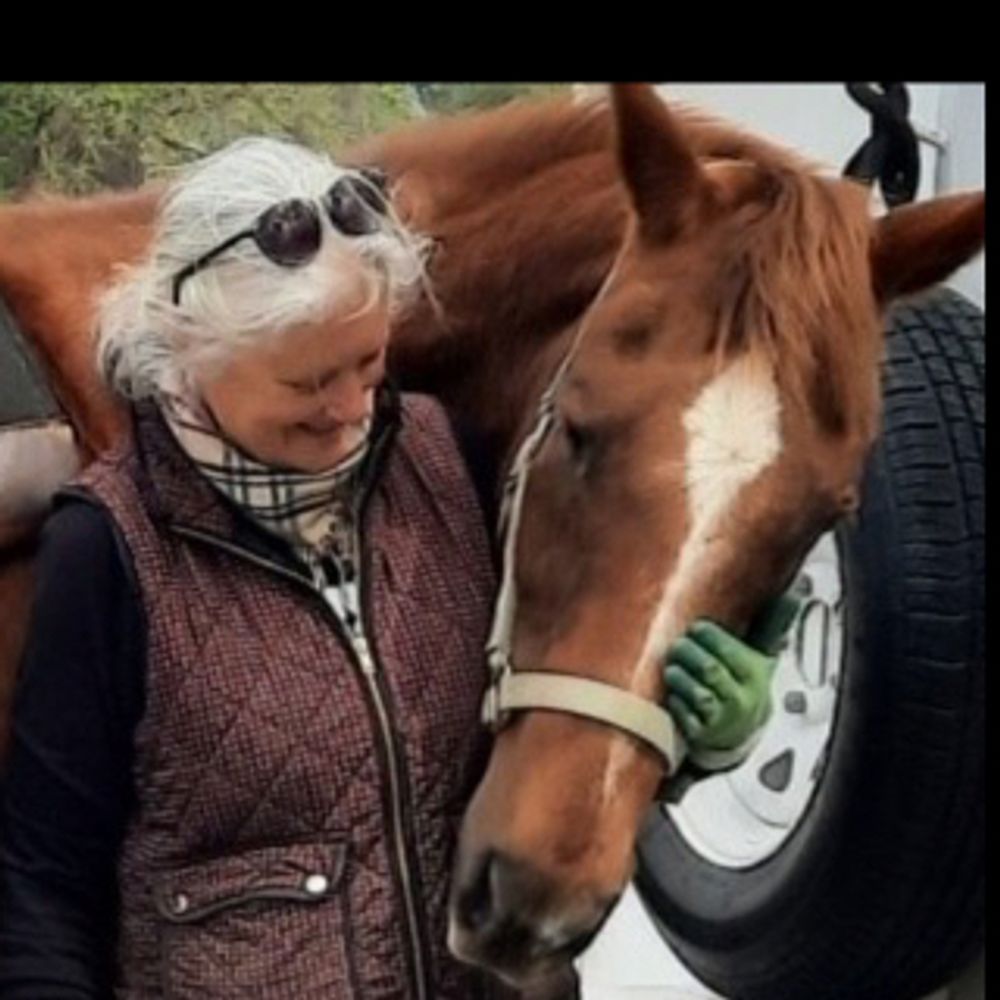 horseyone.bsky.social profile picture