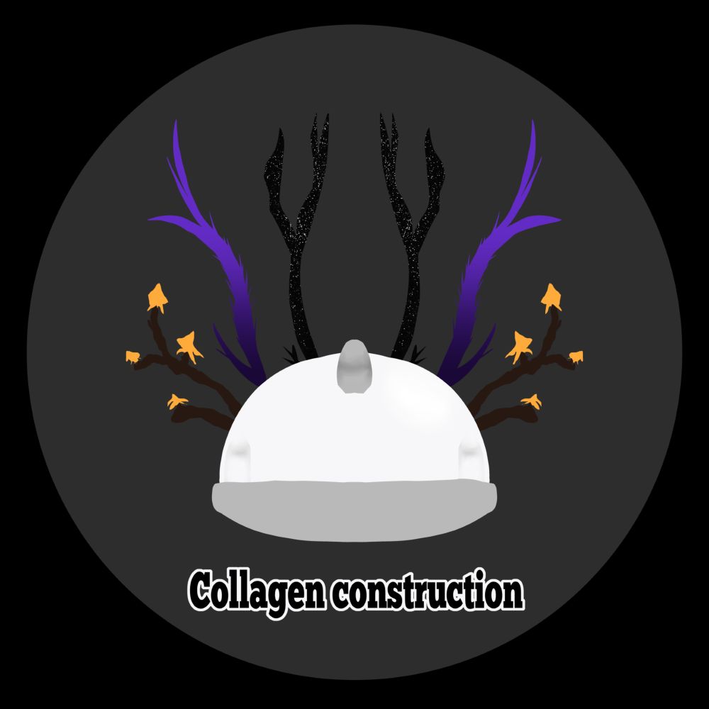 collagenconstruct.bsky.social