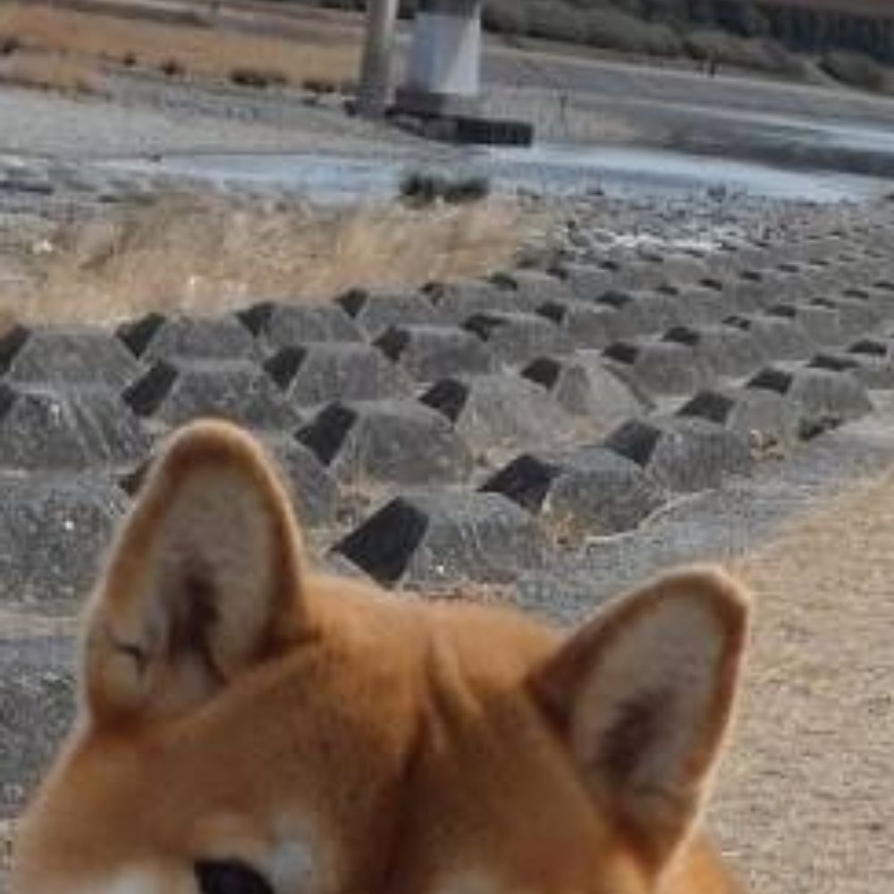 じまくそ