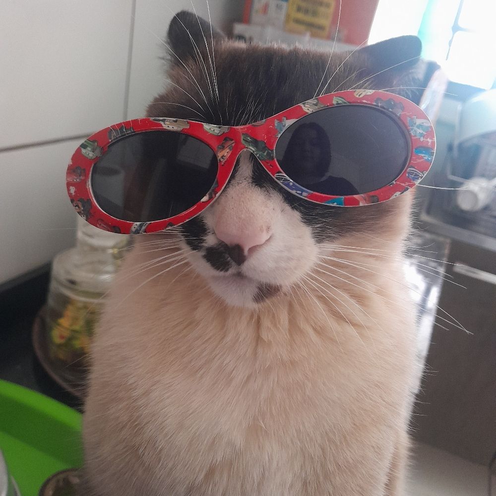 geroca