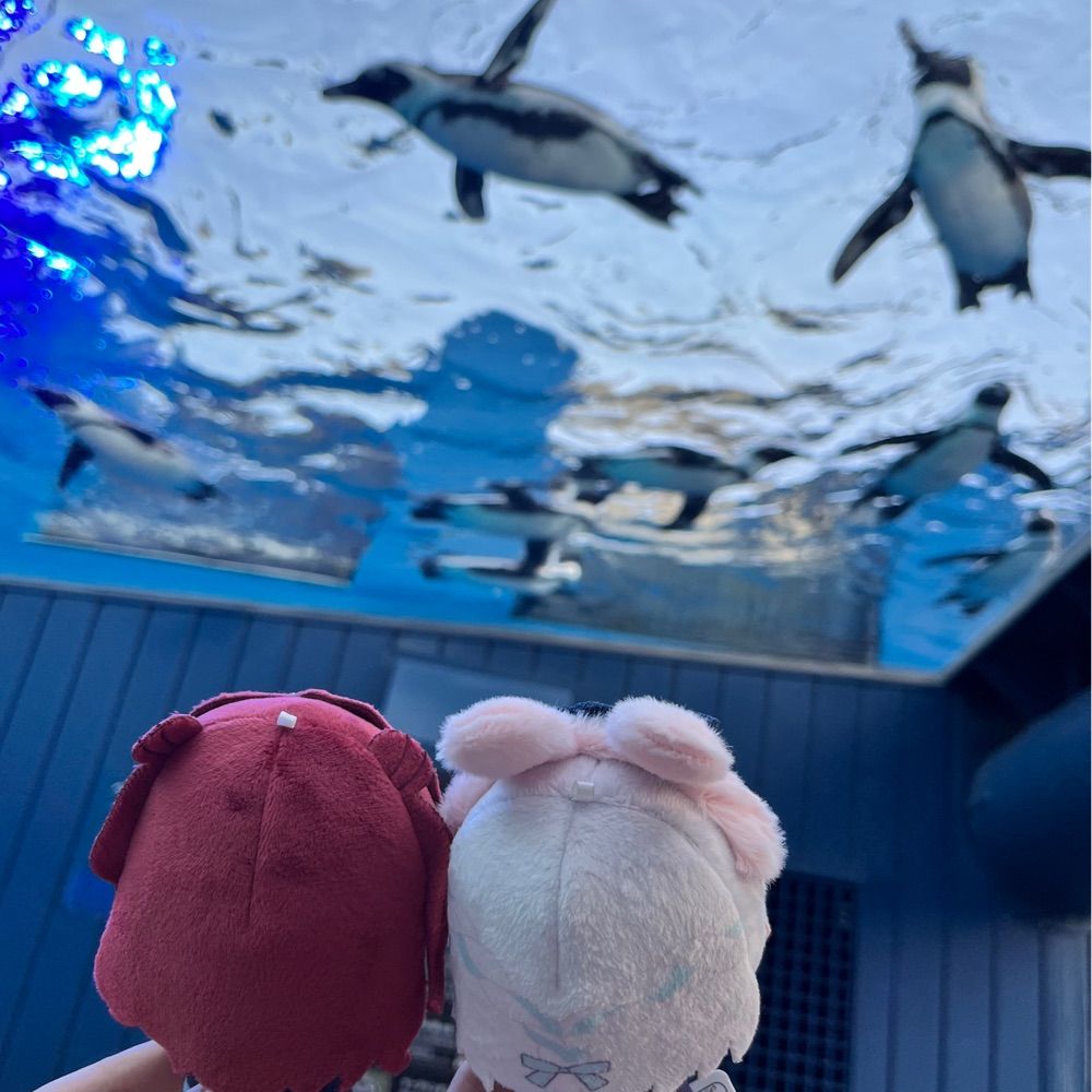 まー
