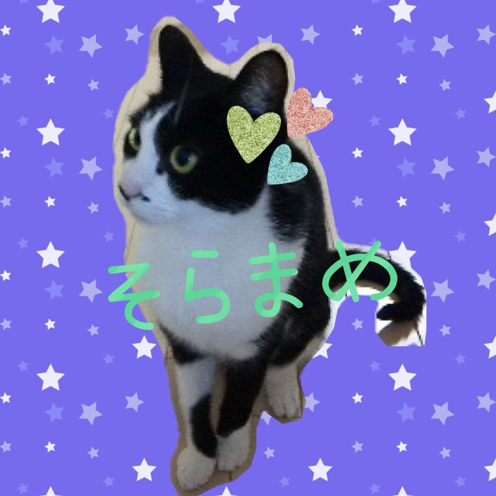 そらまめ(秋空りゅう)3y🌸