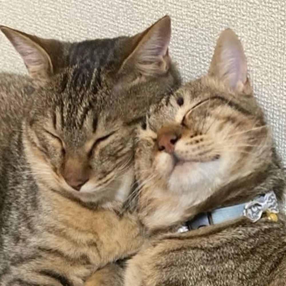 伝田
