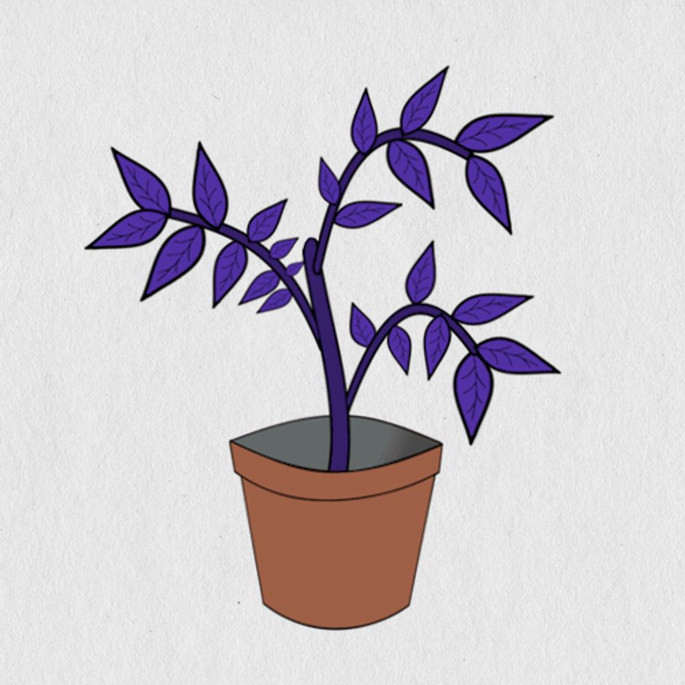 Purple Basil Games