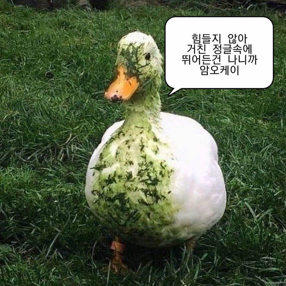 🔥맛