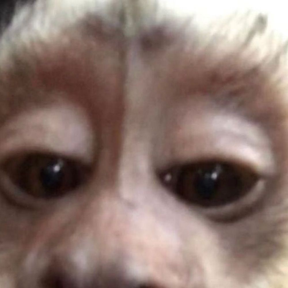 Ju