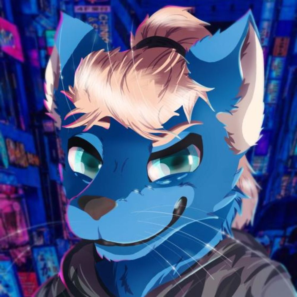 Kigu Wolf