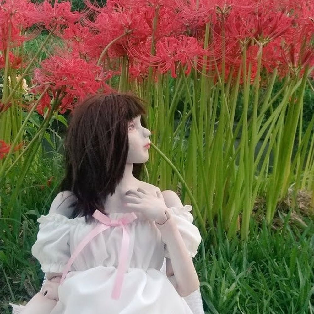 夢野ハダリ(yumeno hadaly)