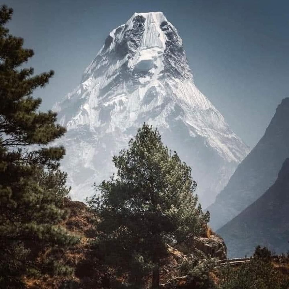 Himalayas Monk