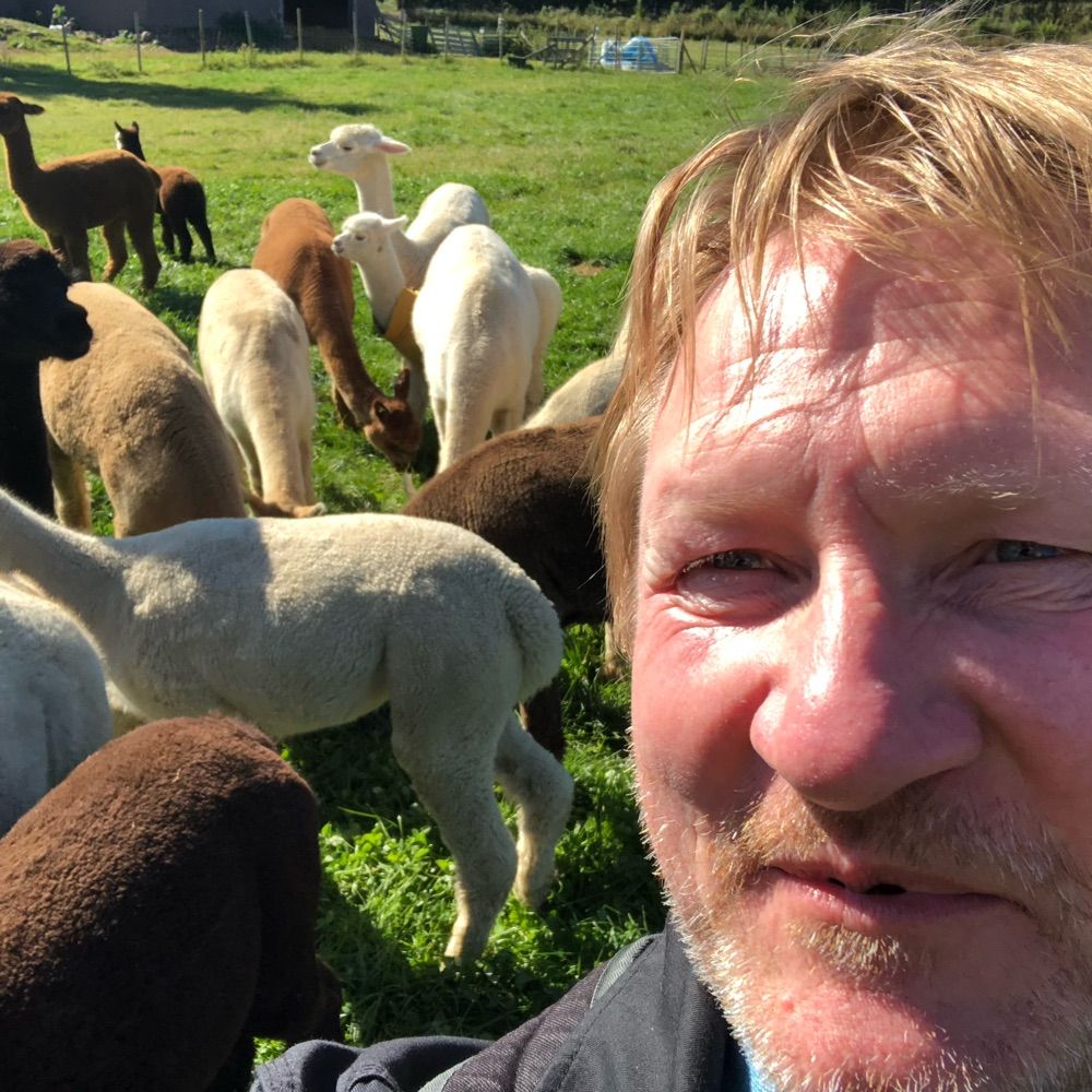 Morten