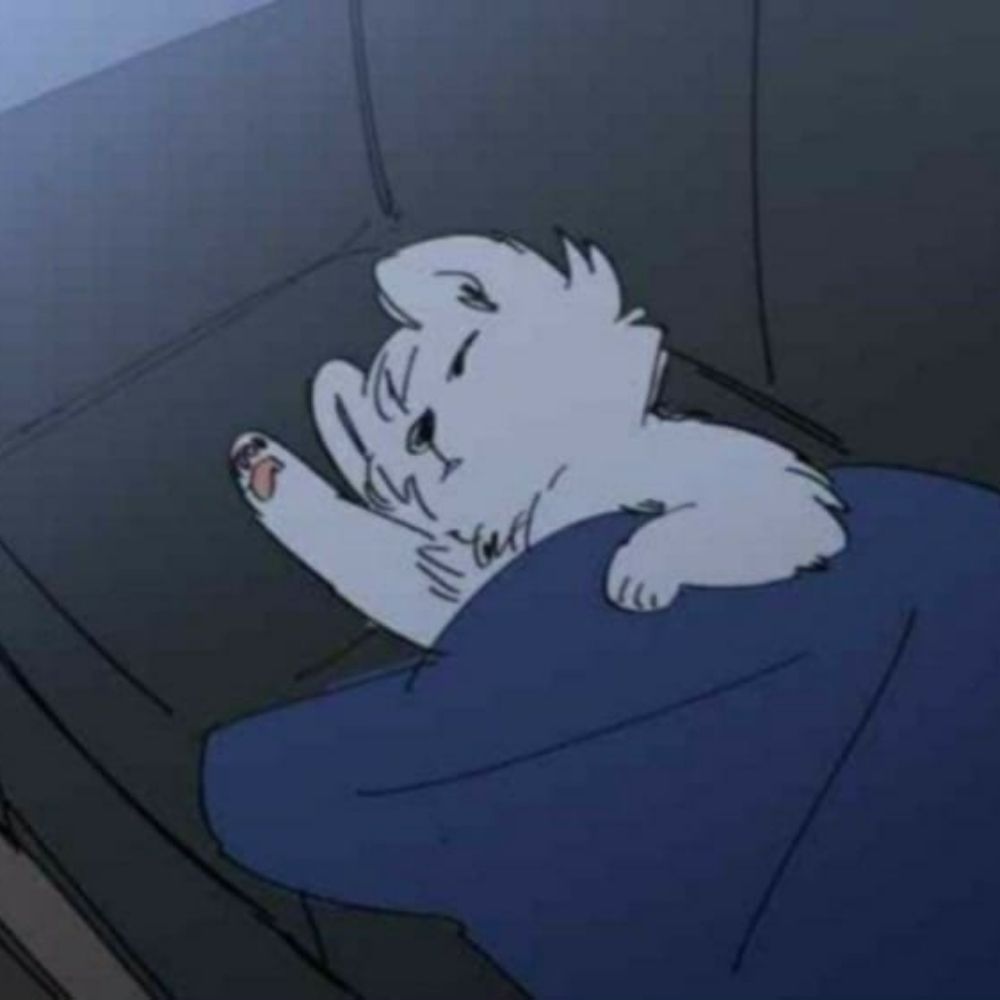 𝙋𝙪𝙥 🐾 (18+)૮ • ﻌ - ა