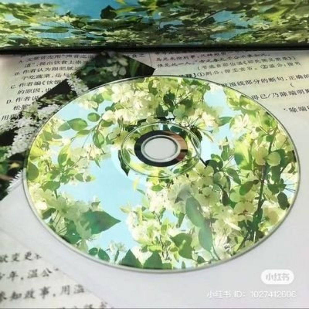 서오 曙烏