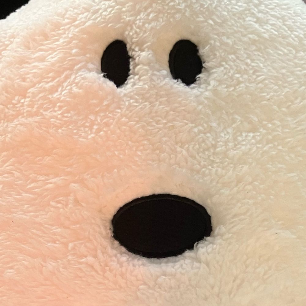 かこQ