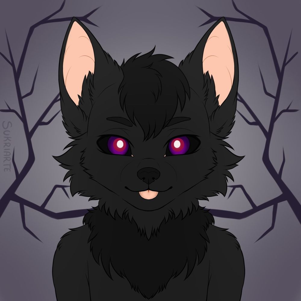 Killer_wolfzz 