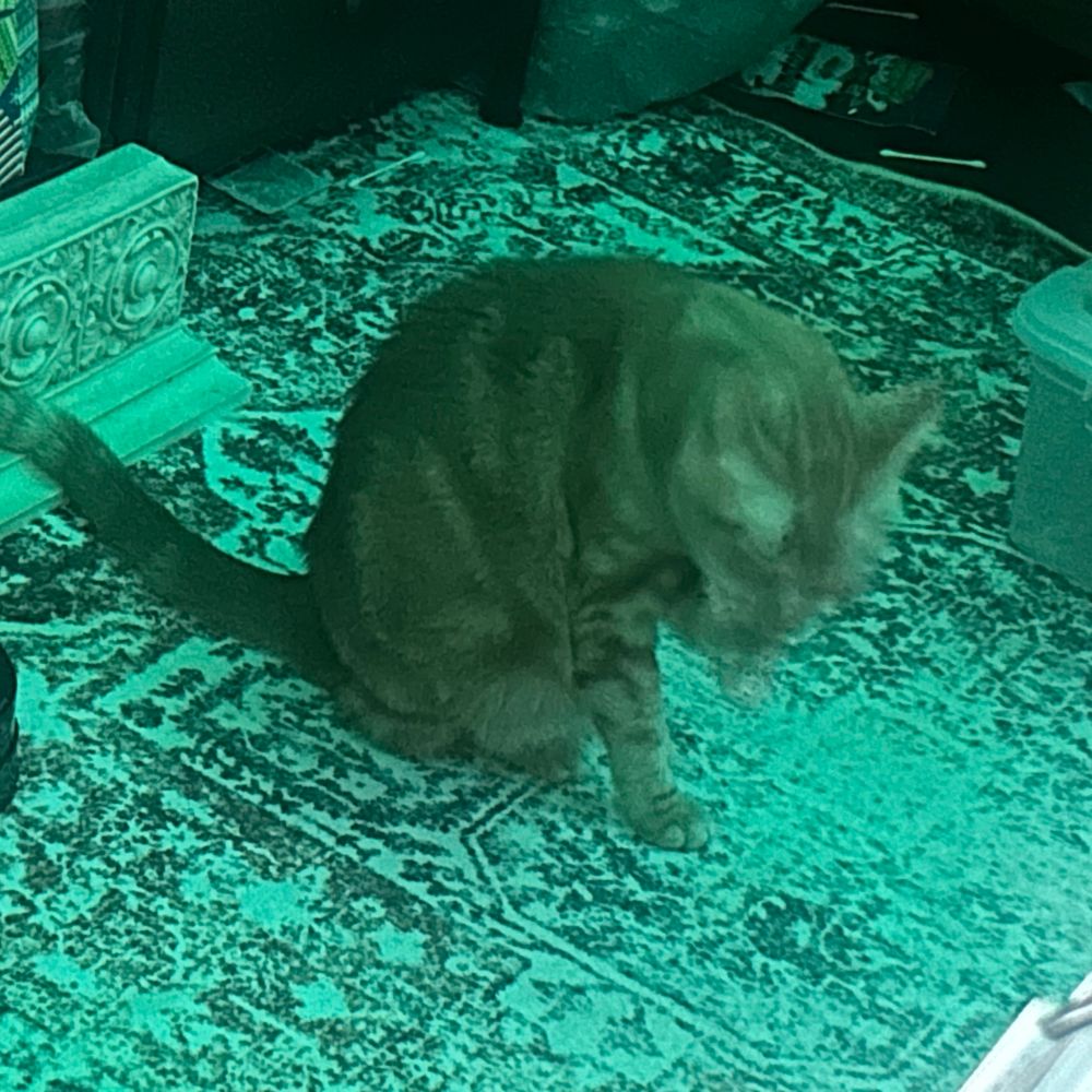 🇺🇸🇲🇽🇨🇦Angela🧬👩🏽‍🔬🥼🧫📚