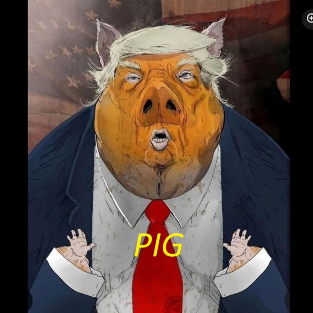 bryaninmo.bsky.social profile picture