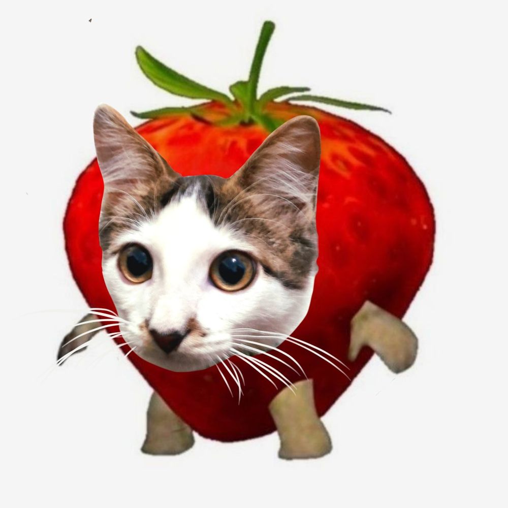Sô