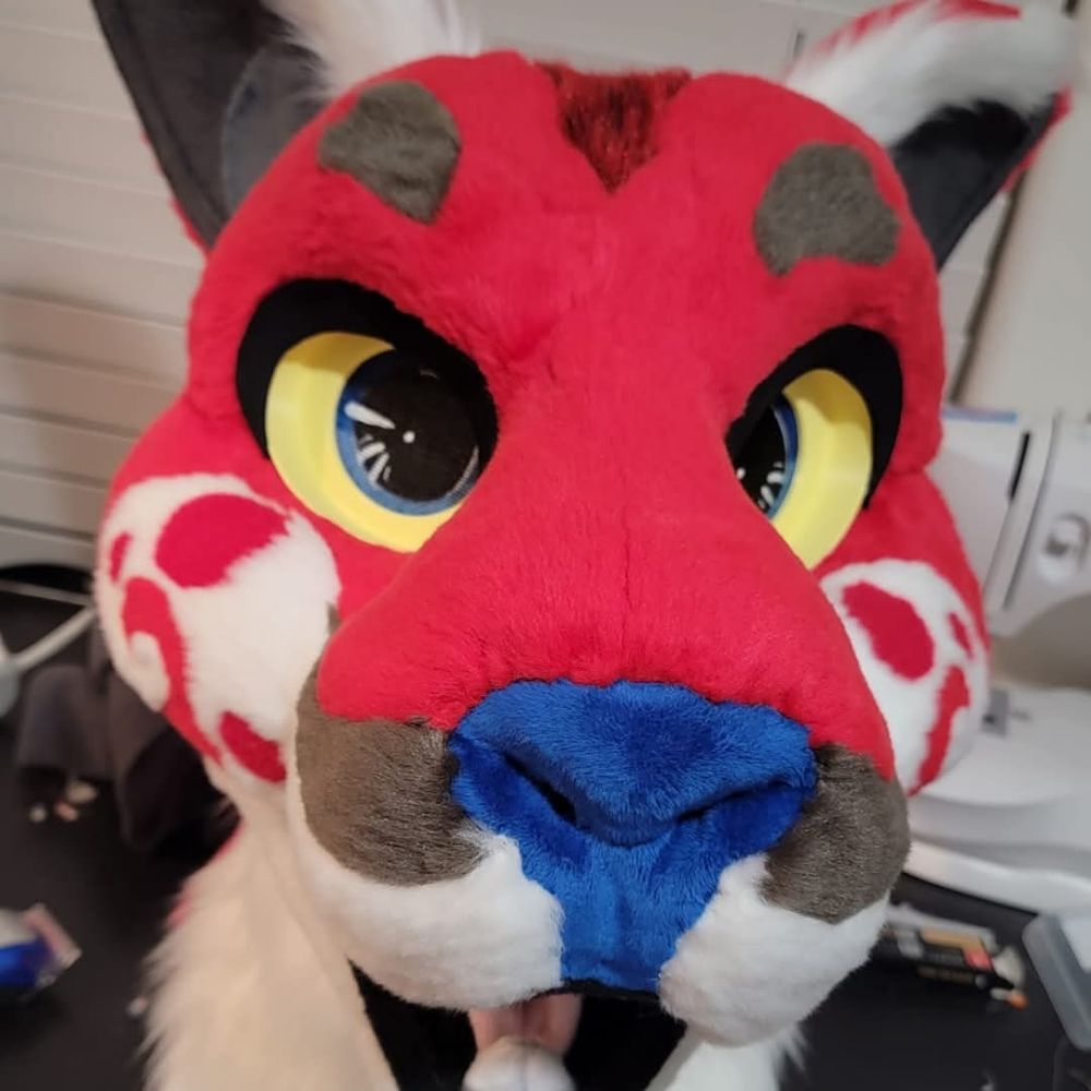 Greer_furry