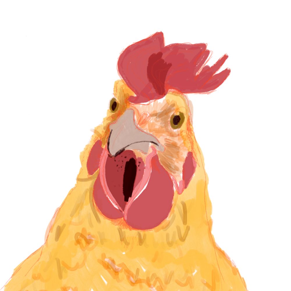 Chicken