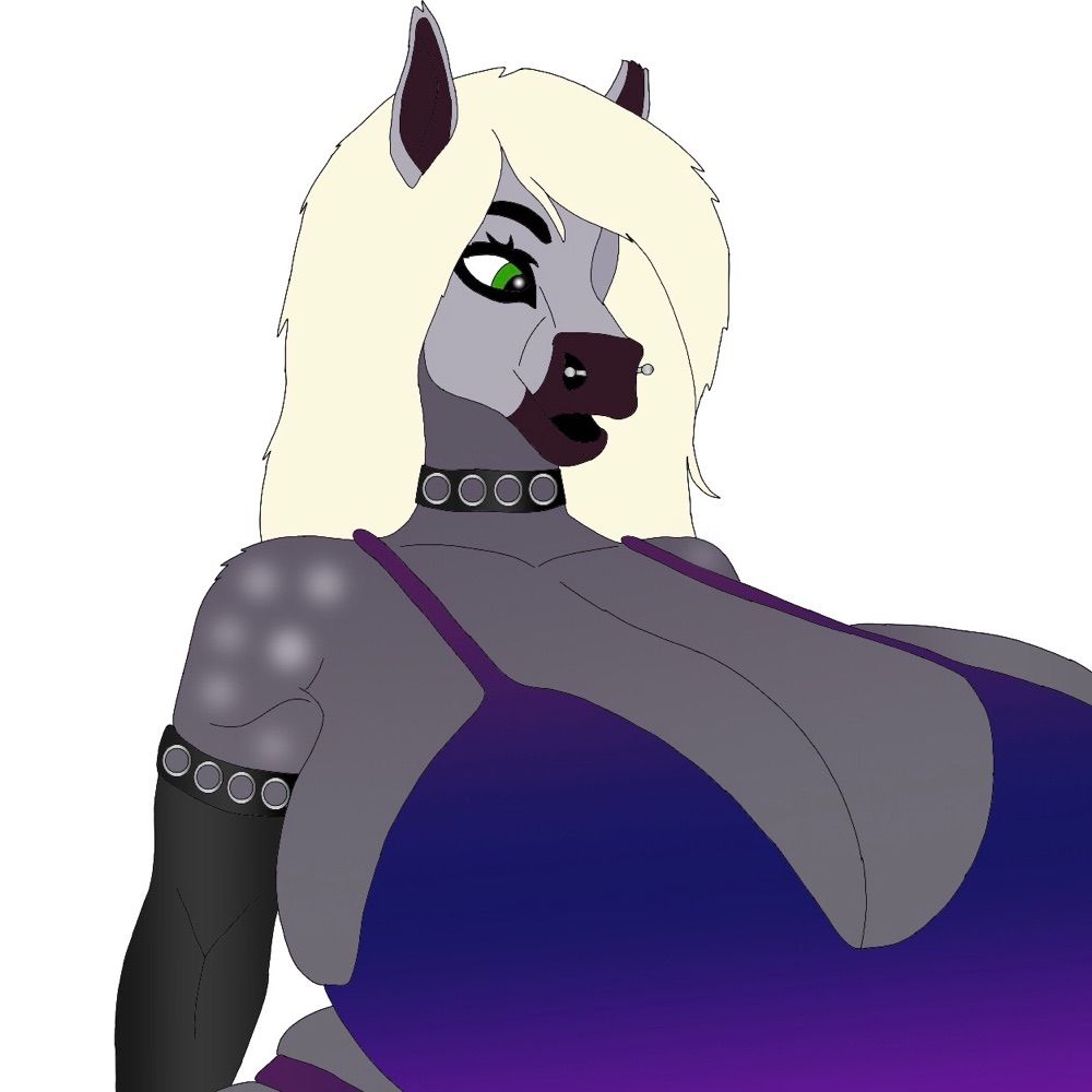 Nova Shire