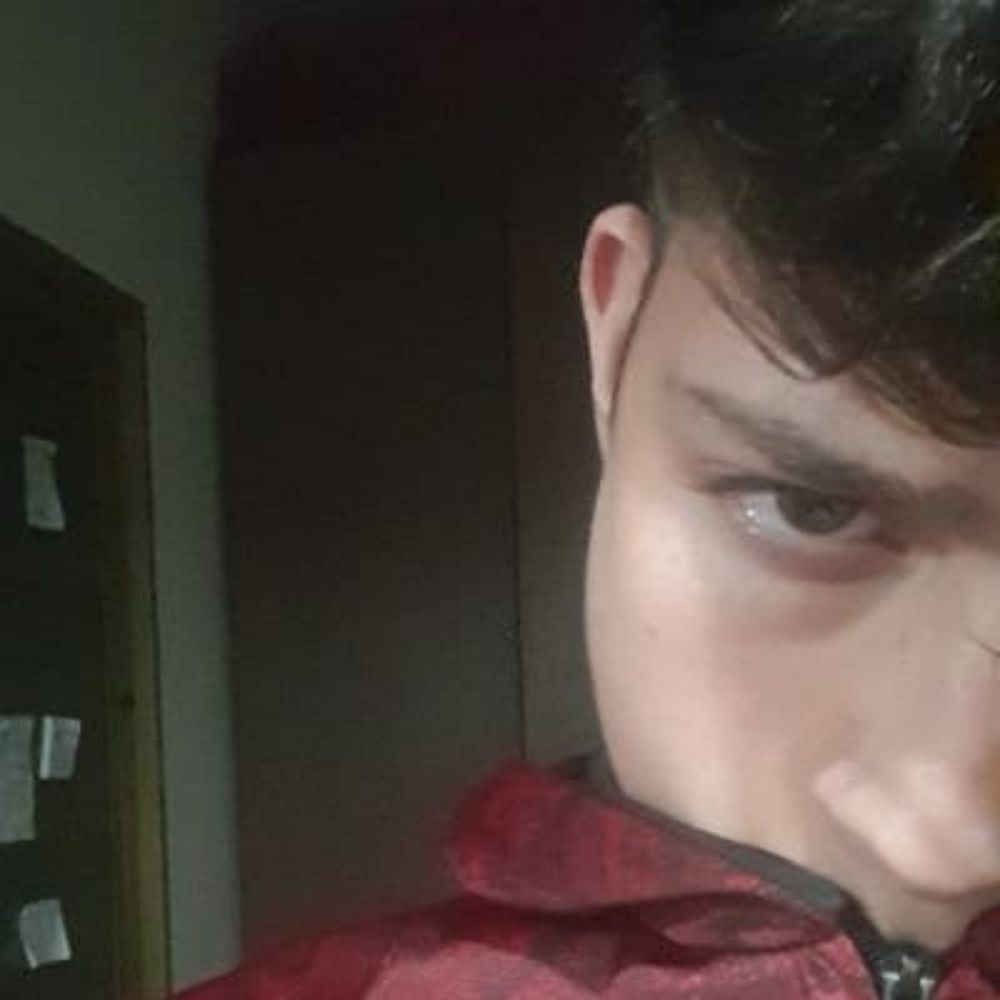 davizim - dw stan☀️✗𝟶