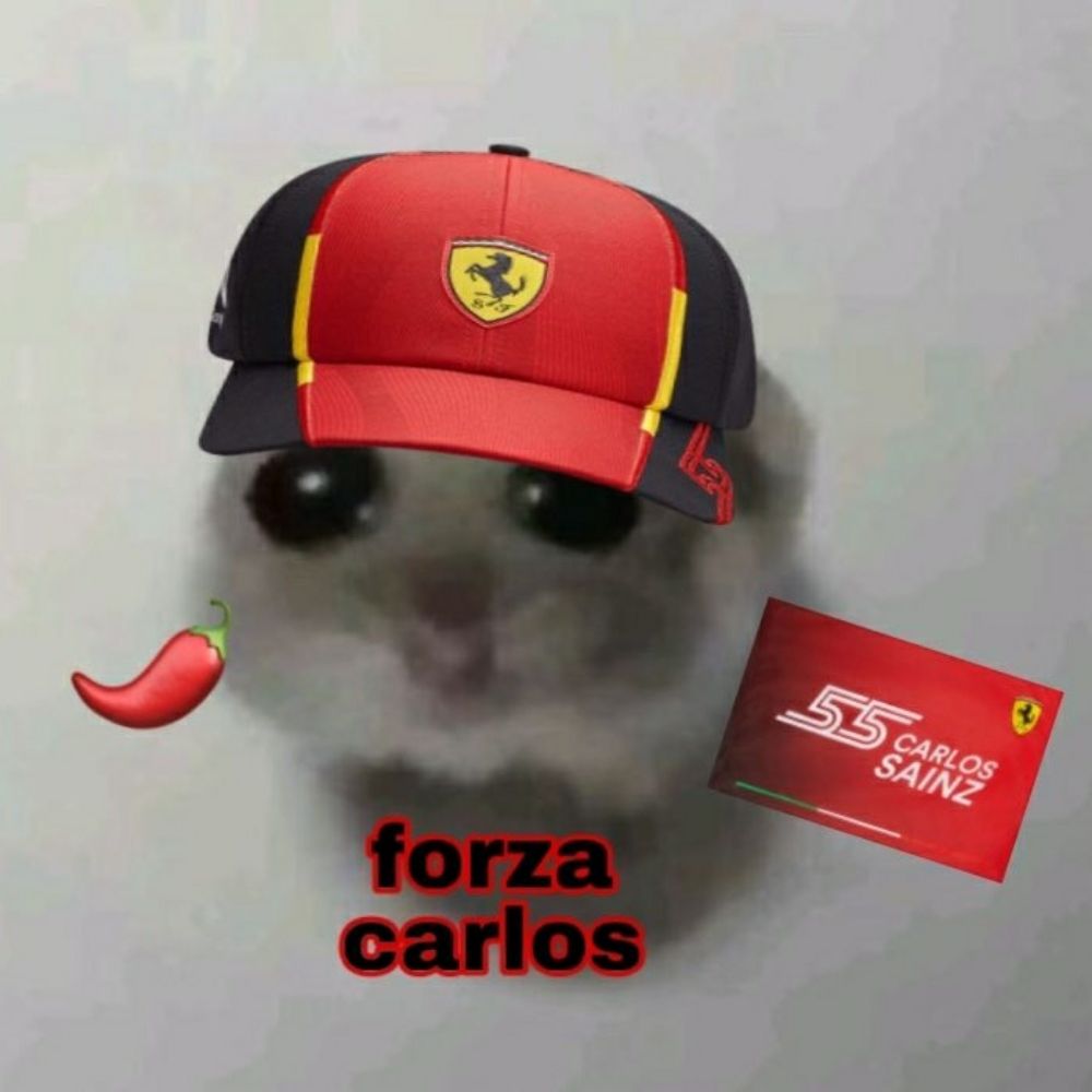 Luane🦁⁵⁵