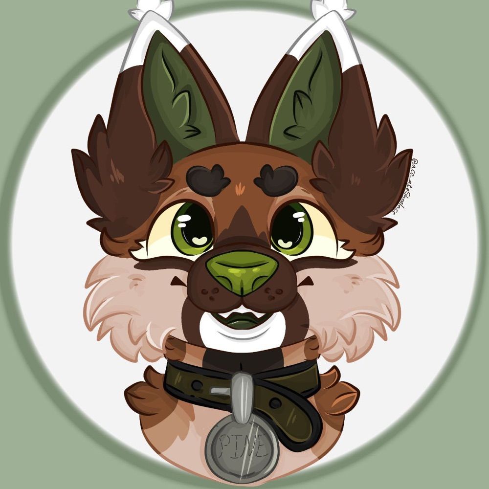 Pine_The_Wolf