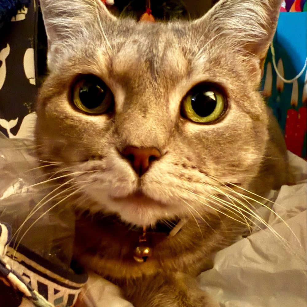 Elizabeth