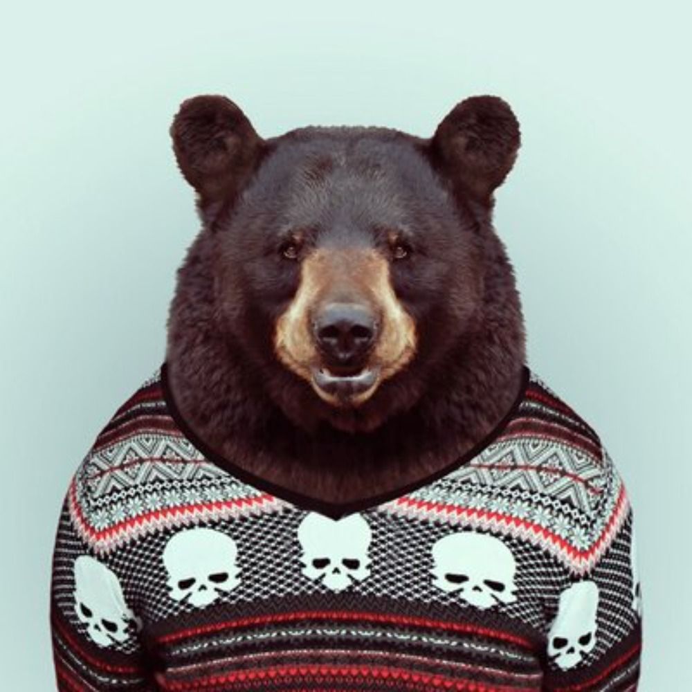 L'ours Martin