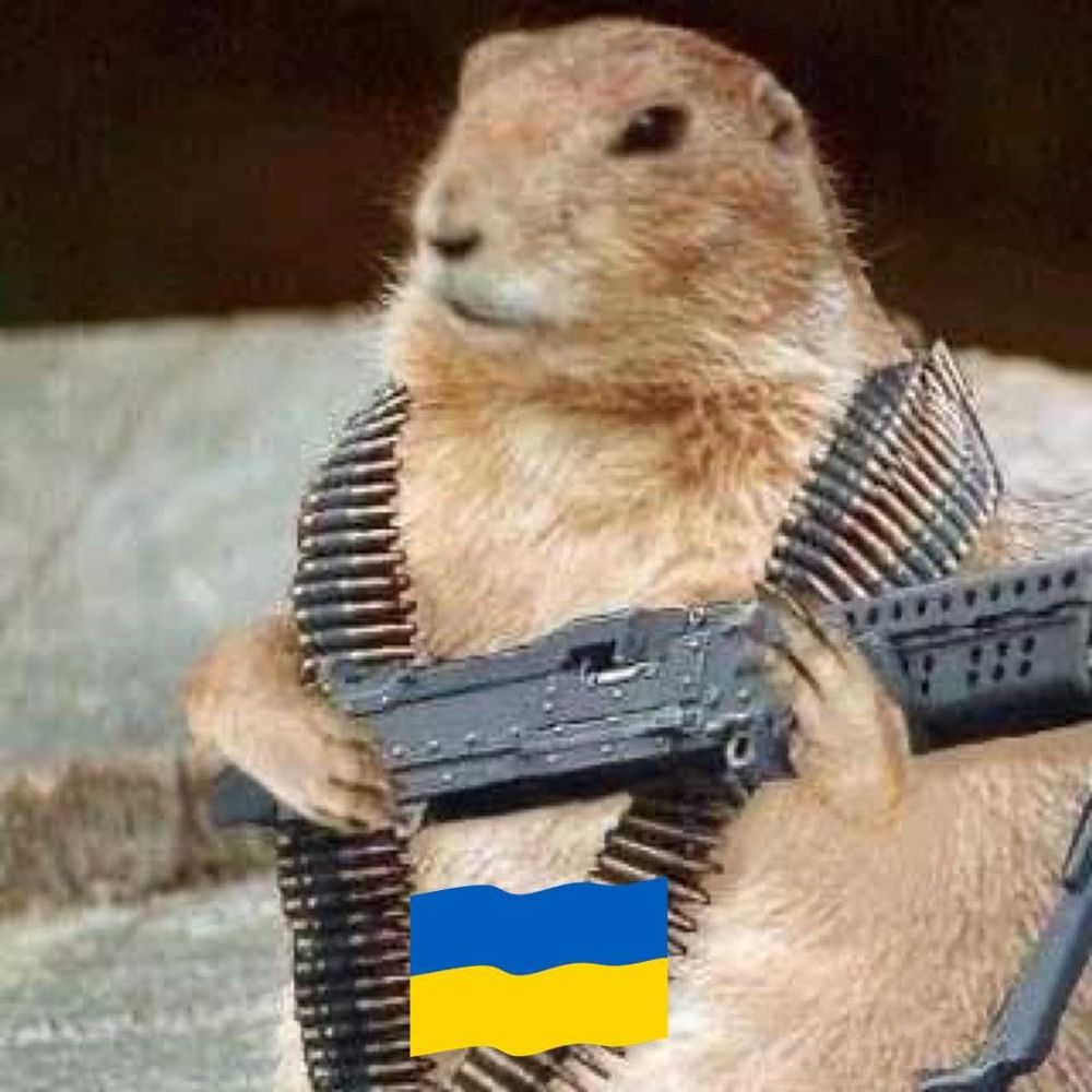 WritingGopher