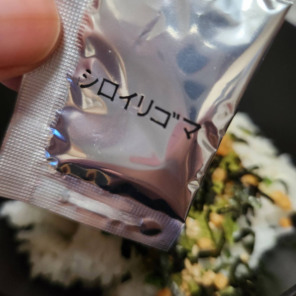 やましん