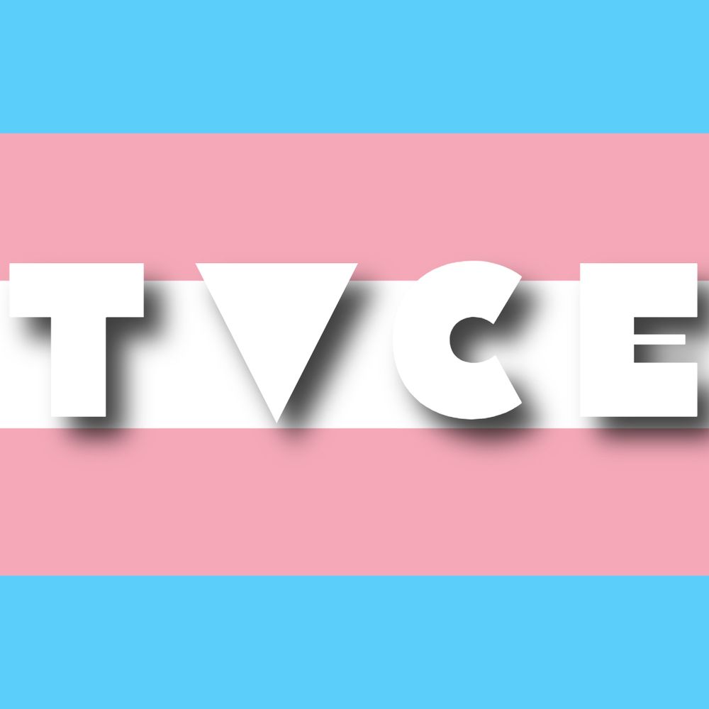 Trans+ Virtual Centre of Excellence